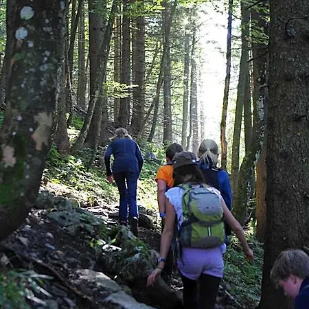 Hostel Blsv Sportcamp Direkt Am Kurvenlift!